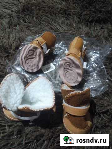 Ботиночки для маленькой собачки. Пикинес Елабуга - изображение 1