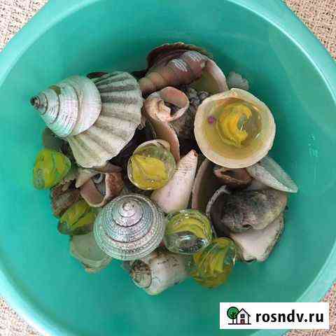 Ракушки для декора аквариума Юрга