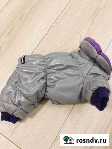 Костюм для собаки размер XS в идеале Реутов - изображение 1