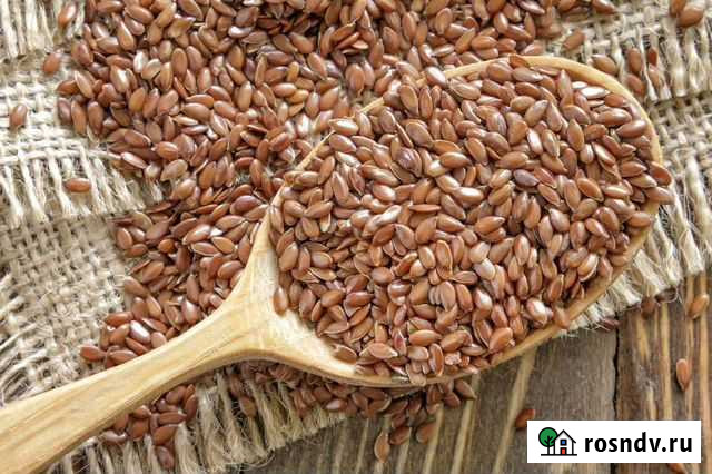 Семена льна Коломна - изображение 1