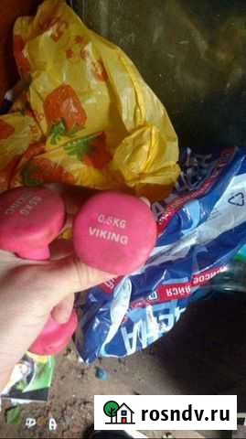 Гантели 0,5кг Сыктывкар - изображение 1