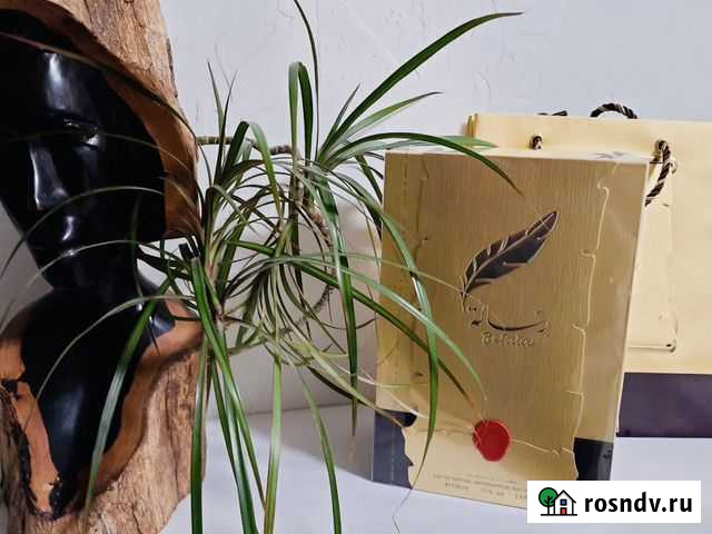 Парфюмерия оригинал Arabian Oud Resala Химки - изображение 1