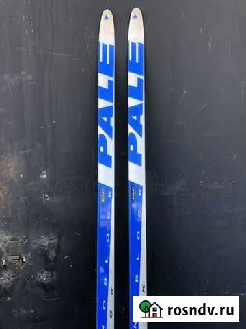 Беговые лыжи Чита - изображение 1