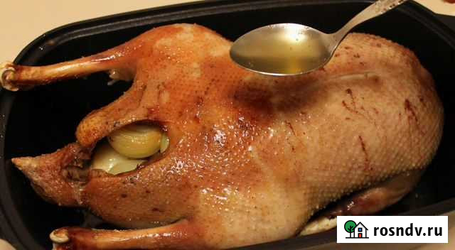 Гусь на мясо тушкой, живым весом Белгород - изображение 1