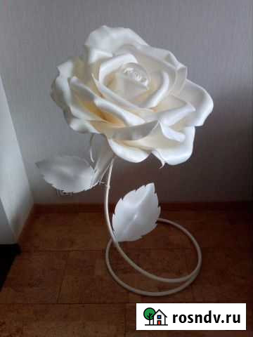 Гигантский цветок Новосибирск - изображение 1