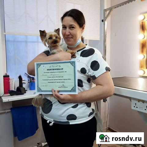 Обучение грумингу собак Ярославль - изображение 1