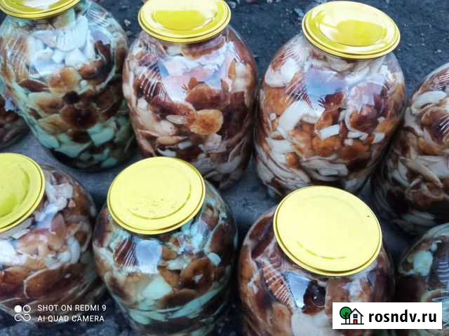 Грибы маринованные Коломна - изображение 1