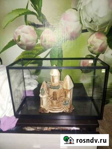 Аквариум Пенза - изображение 1