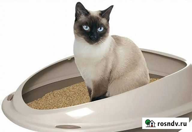 Гранулы для домашних животных Кострома - изображение 1