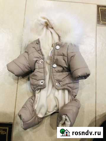 Зимний комбинезон для собаки размер S Елец - изображение 1