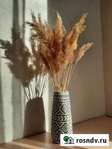 Сухоцветы, декор интерьера Волгоград - изображение 1
