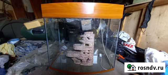 Аквариум Саратов - изображение 1