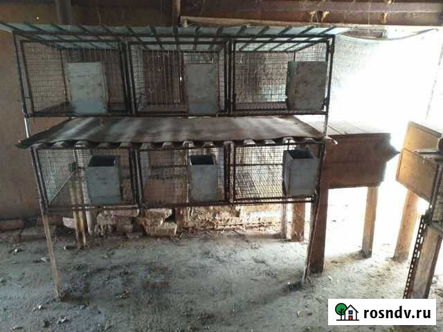 Клетки для кроликов Привольная - изображение 1