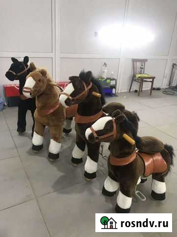 Детская радость Понициклы Великий Устюг - изображение 1