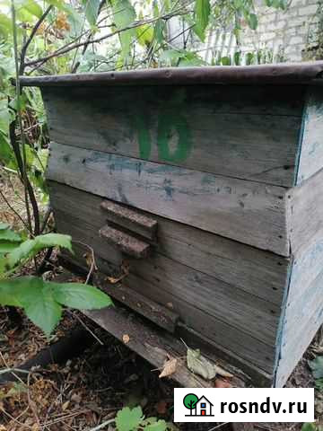 Ульи утепленные Апастово - изображение 1