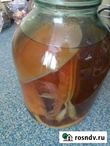 Чайный гриб Дзержинск - изображение 1