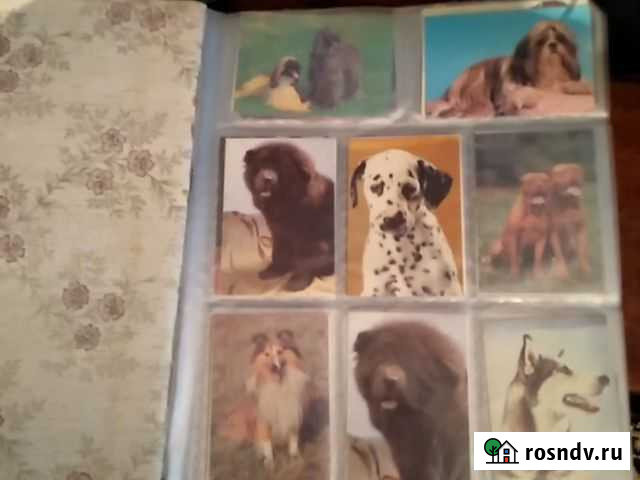 Продаю старые календари Усть-Лабинск - изображение 1