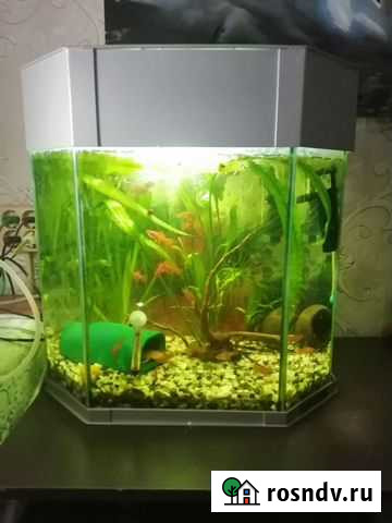 Аквариум полный комплект Зирган - изображение 1