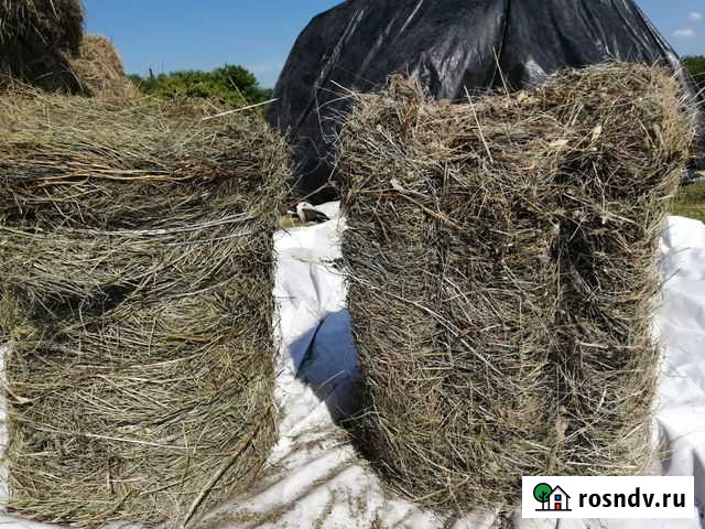 Сено Белгород - изображение 1