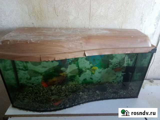 Аквариум 120-160литров Брянск - изображение 1