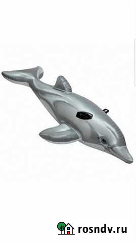 Надувной Дельфин Сочи - изображение 1