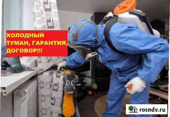 Уничтожение клопов, травить тараканов. Обработка Томск