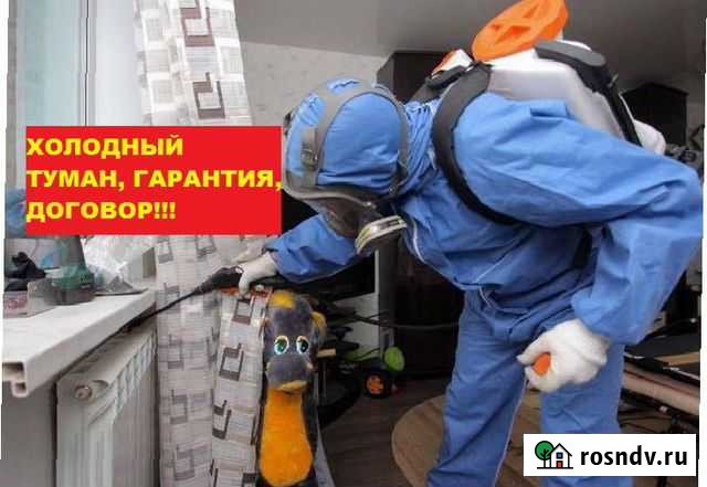 Уничтожение клопов, травить тараканов. Обработка Томск - изображение 1