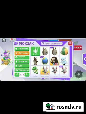 Adopt me Москва - изображение 1