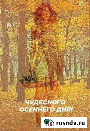 Бухгалтерские услуги, консультации по 1С Волгоград - изображение 1