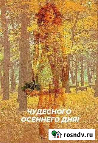 Бухгалтерские услуги, консультации по 1С Волгоград - изображение 1