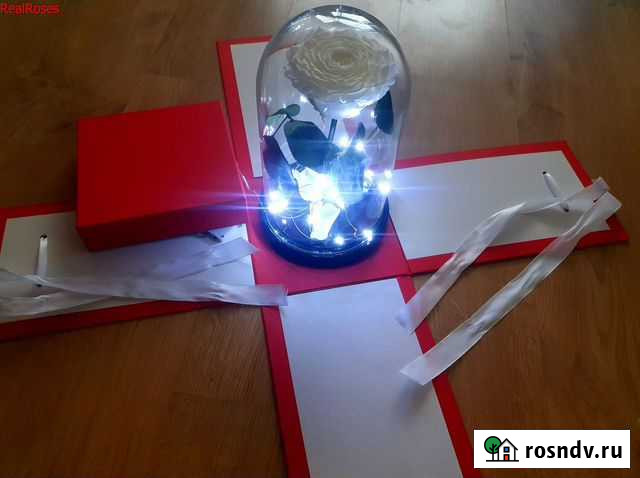 Роза в колбе с подсветкой Санкт-Петербург - изображение 1