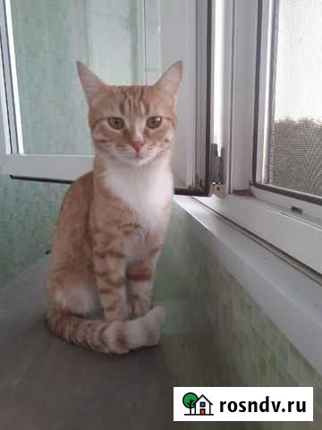 Паркер Оренбург - изображение 1