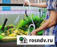 Обслуживание аквариумов Астрахань