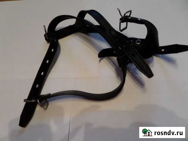 Шлейки Королев - изображение 1