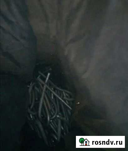 Олово Морозова - изображение 1