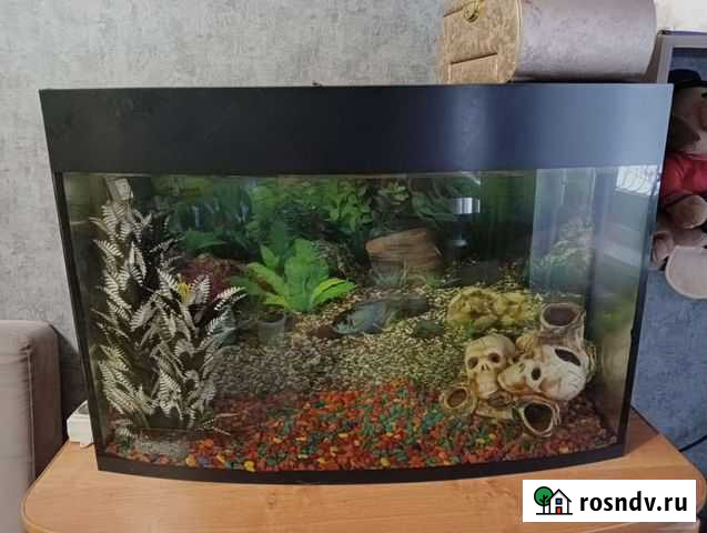 Аквариум Усолье-Сибирское - изображение 1