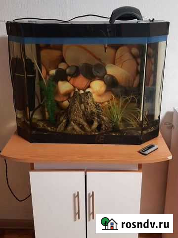 Аквариум Качканар - изображение 1