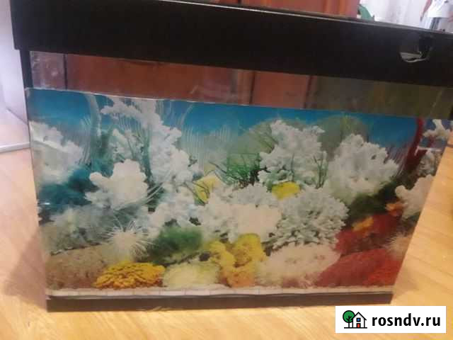 Аквариум угловой Люберцы - изображение 1