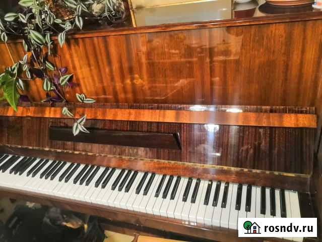 Пианино Выборг - изображение 1