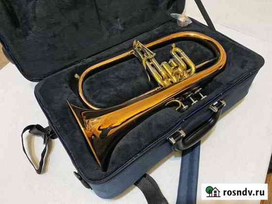 Флюгельгорн Arnold & Sons AFH 655G Новомосковск