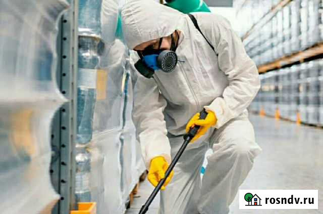 Крысы тараканы клопы мыши уничтожим Пермь - изображение 1