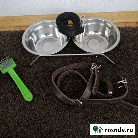 Товары для щенков Арамиль - изображение 1