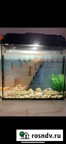 Аквариум 15 л Рязань - изображение 1