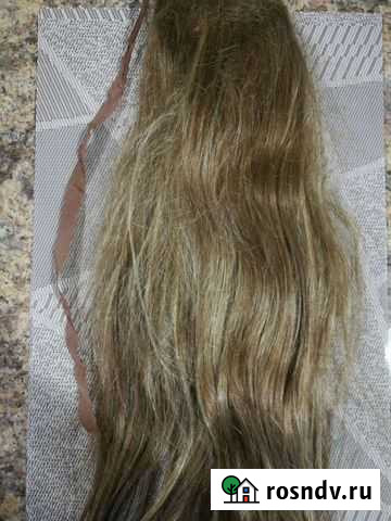 Шиньон Саранск - изображение 1