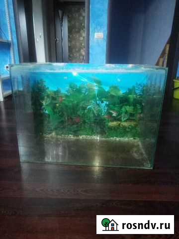 Подам аквариум Миасс - изображение 1