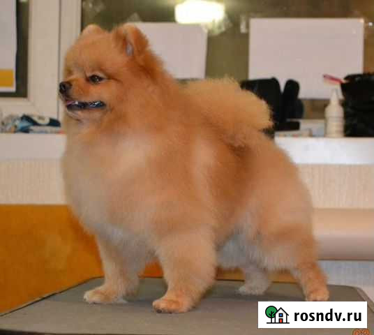 Приглашаем на вязку Курган - изображение 1