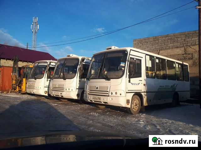 Междугородний / Пригородный автобус ПАЗ 320402-04 Арамиль - изображение 1