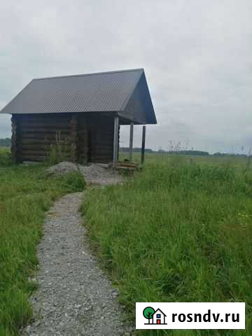 Сруб бани из бревна Толмачево - изображение 1