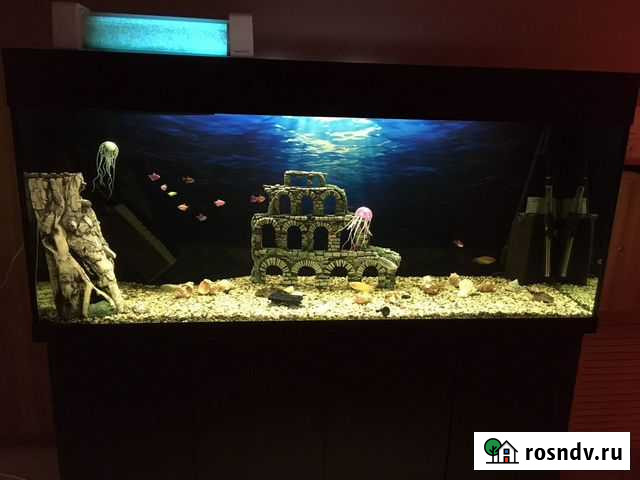 Аквариум с тумбой Копейск - изображение 1