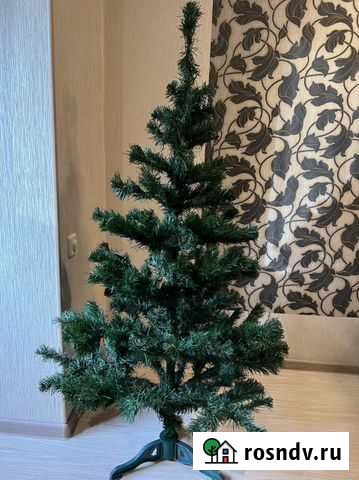 Ель Туапсе - изображение 1